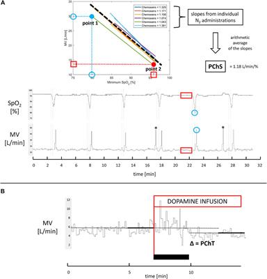 Inhibition of peripheral chemoreceptors improves ventilatory efficiency during exercise in heart failure with preserved ejection fraction − a role of tonic activity and acute reflex response